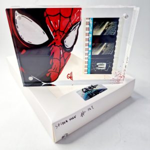 Spiderman (Marvel) | Cadre Plexigraf